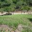  Land for sale in Jose Santos Guardiola, Bay Islands, Jose Santos Guardiola