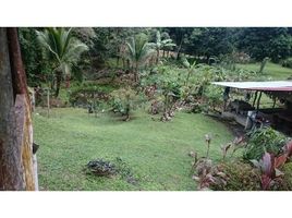 N/A Land for sale in , Limon Guapiles, Pococi, Limon