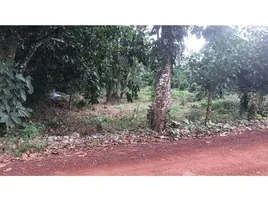  Land for sale in San Carlos, Alajuela, San Carlos