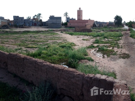  Land for sale in Marrakech, Marrakech Tensift Al Haouz, Na Annakhil, Marrakech