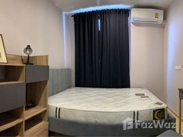 1 спален Кондо в аренду в Plum Condo Pinklao Station, Bang Yi Khan