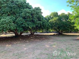  Land for sale in Hang Dong, Chiang Mai, Nam Phrae, Hang Dong