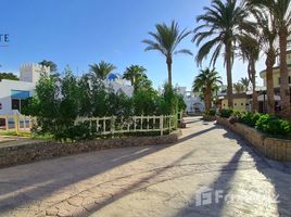 在Hurghada Marina出售的1 卧室 公寓, Hurghada Resorts, Hurghada