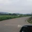  Land for sale in Khlong Muang, Nakhon Ratchasima, Khlong Muang, Pak Chong