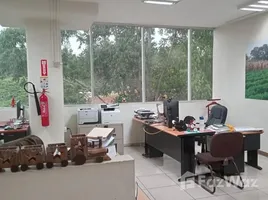 400 平米 Office for rent in 洪都拉斯, Distrito Central, Francisco Morazan, 洪都拉斯