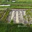  Land for sale in Khlong Song Ton Nun, Bangkok, Khlong Song Ton Nun