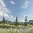  Land for sale in Pak Chong, Nakhon Ratchasima, Khlong Muang, Pak Chong
