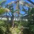  Land for sale in Badung, Bali, Canggu, Badung