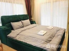 4 Bedroom House for rent at Perfect Place Sukhumvit 77 - Suvarnabhumi, Lat Krabang, Lat Krabang, Bangkok, Thailand