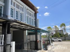 บ้านเดี่ยว 4 ห้องนอน ให้เช่า ในโครงการ โกลเด้น ทาวน์ เชียงใหม่-กาดรวมโชค , ฟ้าฮ่าม, เมืองเชียงใหม่, เชียงใหม่