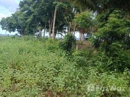  Land for sale in Bang Son, Chumphon, Bang Son, Pathio