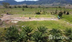 N/A Grundstück zu verkaufen in Bang Thong, Phangnga 