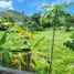 2 Bedroom House for rent in Maret, Surat Thani, Maret