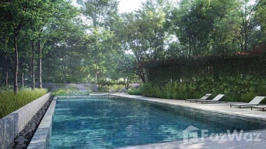 图片 1 of the 游泳池 at Mulberry Grove The Forestias Condominiums