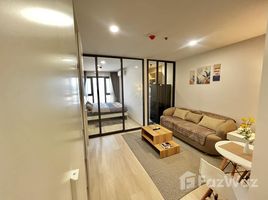 คอนโด 1 ห้องนอน ให้เช่า ในโครงการ แอสไพร์ วิภา วิคตอรี่, สามเสนใน, พญาไท