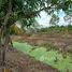  Land for sale in Phimonrat, Nonthaburi, Phimonrat, Bang Bua Thong, Nonthaburi
