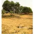  Terreno (Parcela) en venta en Kachchh, Gujarat, n.a. ( 913), Kachchh