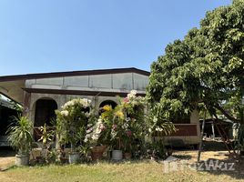 4 Habitación Casa en venta en Hariphunchai National Museum, Nai Mueang, Nai Mueang