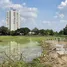  Terreno (Parcela) en venta en Nong Phueng, Chiang Mai, Nong Phueng, Saraphi, Chiang Mai