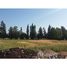  Land for sale at Colina, Colina