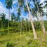  Land for sale in Taling Ngam, Surat Thani, Taling Ngam, Koh Samui