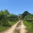  Land for sale in Choeng Thale, Thalang, Choeng Thale