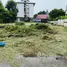 ขายที่ดิน ใน สนามบินนานาชาติเชียงใหม่, สุเทพ, ป่าแดด