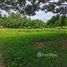 ขายที่ดิน ใน ออนใต้, เชียงใหม่, ออนใต้, สันกำแพง