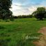  Land for sale in Mueang Khon Kaen, Khon Kaen, Ban Kho, Mueang Khon Kaen