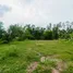  Land for sale in Phe, Rayong, Phe, Mueang Rayong, Rayong, Thailand