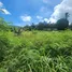  Terrain for sale in Phuket, Chalong, Phuket Town, Phuket