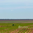  Land for sale in Mato Grosso, Nova Maringa, Nova Maringa, Mato Grosso