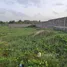  Land for sale in Dangbe West, Greater Accra, Dangbe West, Greater Accra, Ghana