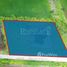  Земельный участок for sale in Khlong Yong, Nakhon Pathom, Khlong Yong, Phutthamonthon