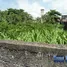  Terrain for sale in Rio Grande do Norte, Fernando De Noronha, Fernando De Noronha, Rio Grande do Norte