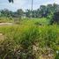  Land for sale in Mueang Krabi, Krabi, Sai Thai, Mueang Krabi