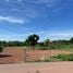  Land for sale in Nong Pling, Kamphaeng Phet, Nong Pling, Mueang Kamphaeng Phet, Kamphaeng Phet
