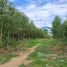  Land for sale in Phra Nakhon Si Ayutthaya, Lam Sai, Wang Noi, Phra Nakhon Si Ayutthaya