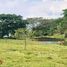  Land for sale in Fredonia, Antioquia, Fredonia