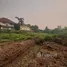  Land for sale in San Phisuea, Chiang Mai, San Phisuea