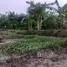  Terreno (Parcela) en venta en Koh Samui, Lipa Noi, Koh Samui