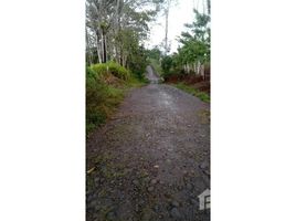  Land for sale in San Carlos, Alajuela, San Carlos