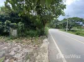  Земельный участок for sale in Na An, Mueang Loei, Na An