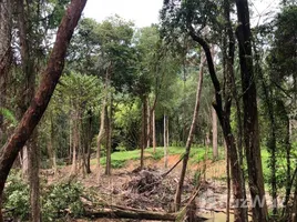 ขายที่ดิน ใน เขาทอง, กระบี่, เขาทอง, เมืองกระบี่, กระบี่