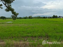 N/A Land for sale in Buak Khang, Chiang Mai 6-0-80 Rai Land in Buak Khang for Sale