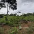  Terreno (Parcela) en venta en Brasil, Presidente Figueiredo, Amazonas, Brasil