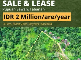  Land for sale in Bali, Selemadeg, Tabanan, Bali