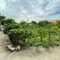  Terreno (Parcela) en venta en Plai Bang, Nonthaburi, Plai Bang, Bang Kruai, Nonthaburi