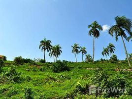Maria Trinidad Sanchez Hillside Land with Sea and National Park View in Trinidad Sanchez N/A 土地 售 