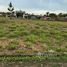  Land for sale in Campo Bom, Campo Bom, Campo Bom